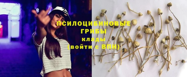 прущие крисы Алзамай