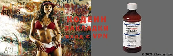 прущие крисы Алзамай