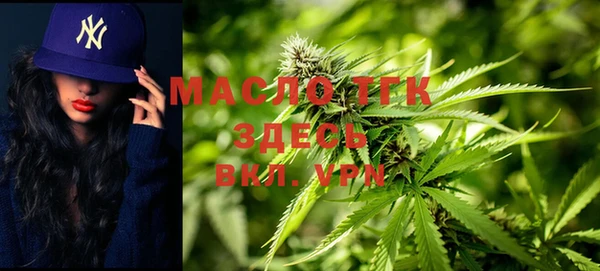 индика Михайлов