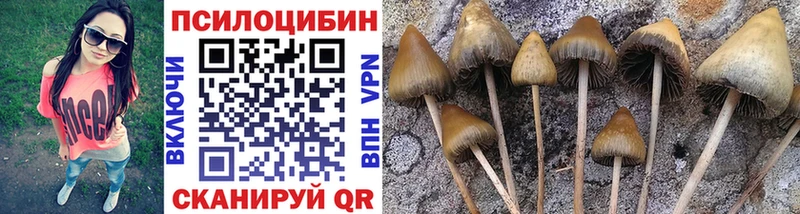МЕГА ссылка  Северодвинск  Галлюциногенные грибы ЛСД 