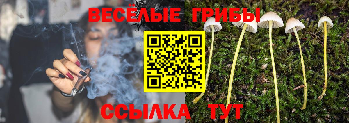 Галлюциногенные грибы Magic Shrooms  Вход с VPN  Северодвинск 