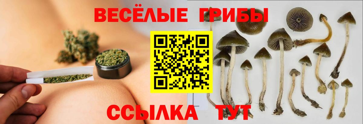 Псилоцибиновые грибы MAGIC MUSHROOMS Северодвинск