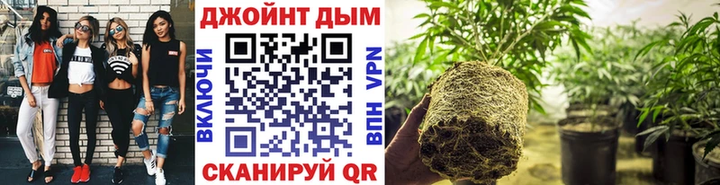 магазин Северодвинск Марихуана сатива